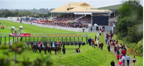 Horses leaving the starting stalls at Listowel Races in front of a packed stand